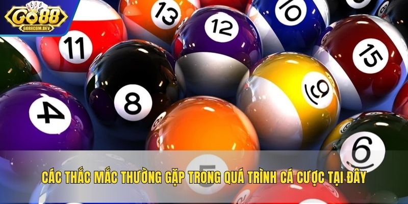 Các thắc mắc thường gặp trong quá trình cá cược tại đây