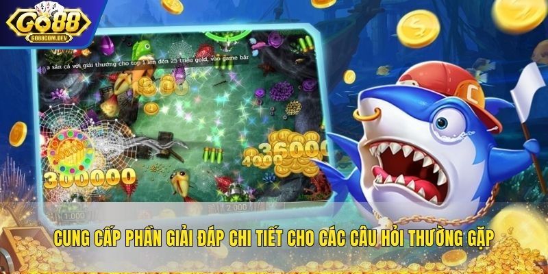 Cung cấp phần giải đáp chi tiết cho các câu hỏi thường gặp