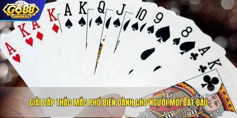 Giải đáp thắc mắc phổ biến dành cho người mới bắt đầu