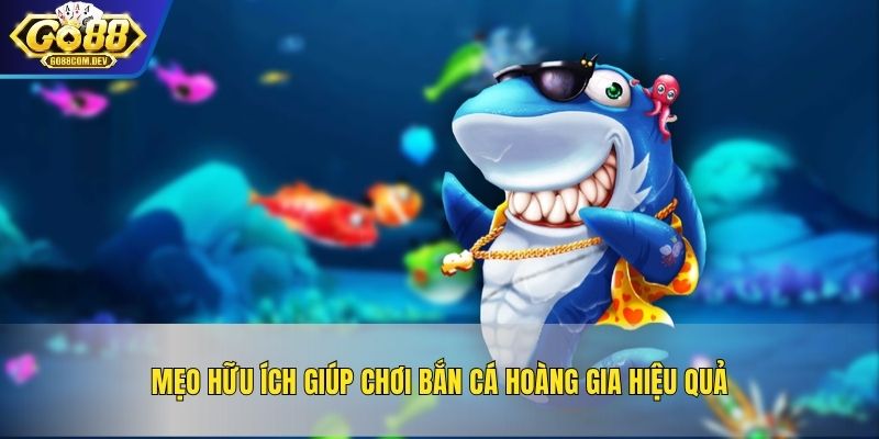 Mẹo hữu ích giúp chơi bắn cá hoàng gia hiệu quả