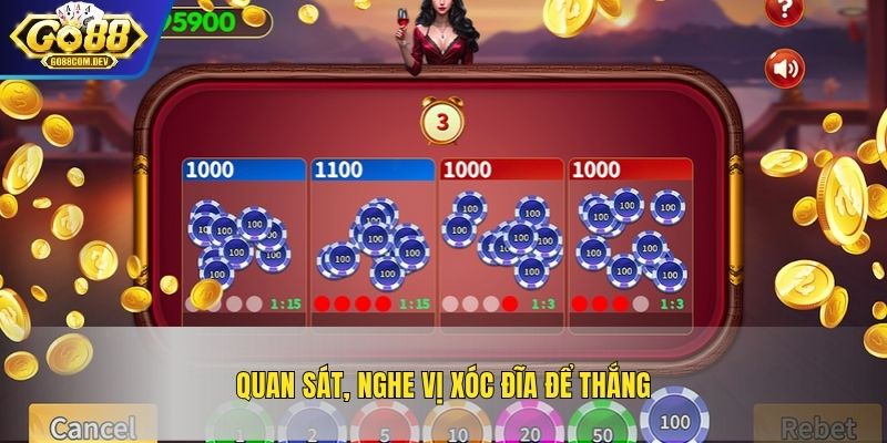 Quan sát, nghe vị xóc đĩa để thắng
