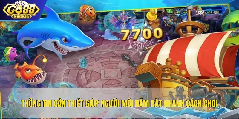 Cung cấp thông tin cần thiết giúp người mới nắm bắt nhanh cách chơi