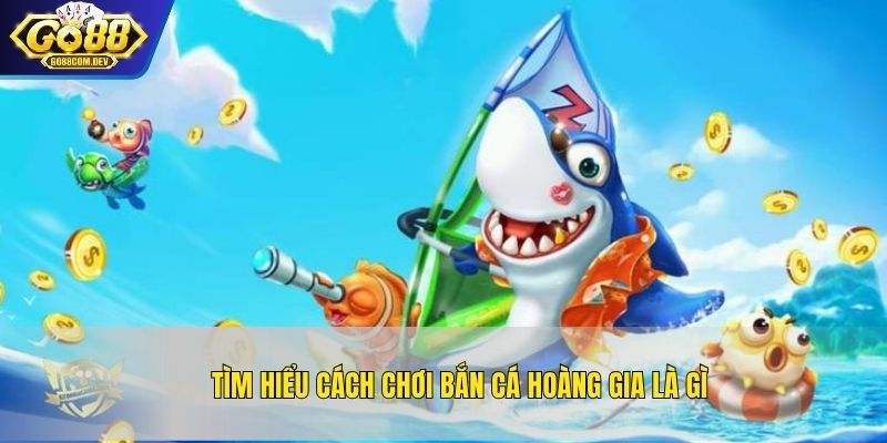 Tìm hiểu cách chơi bắn cá hoàng gia là gì