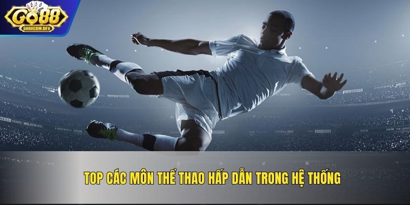 Top các môn thể thao hấp dẫn trong hệ thống