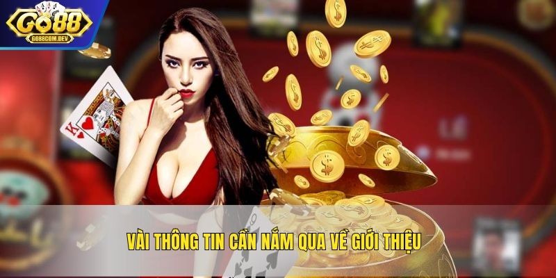 Vài thông tin cần nắm qua về giới thiệu